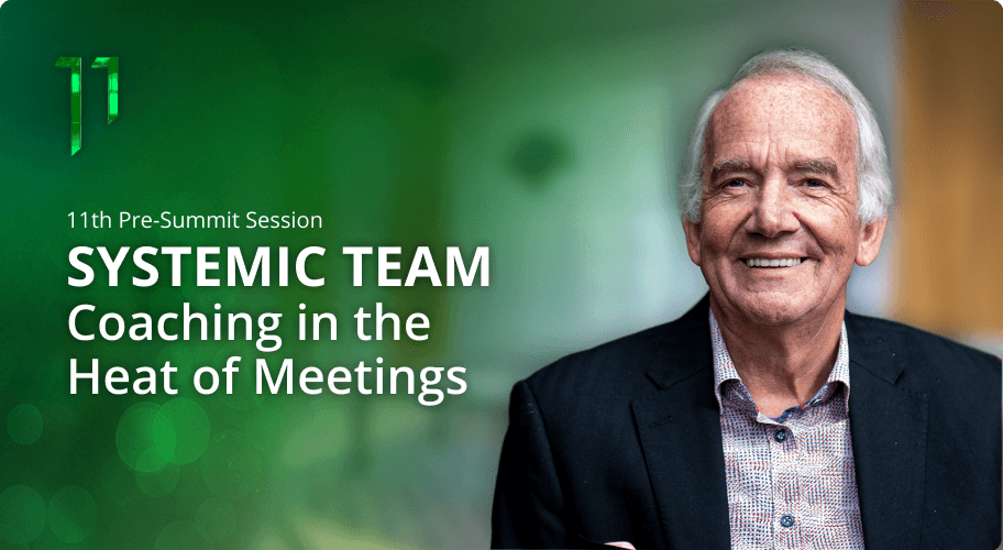 Systemic Team Coaching in the Heat of Meetings Photo